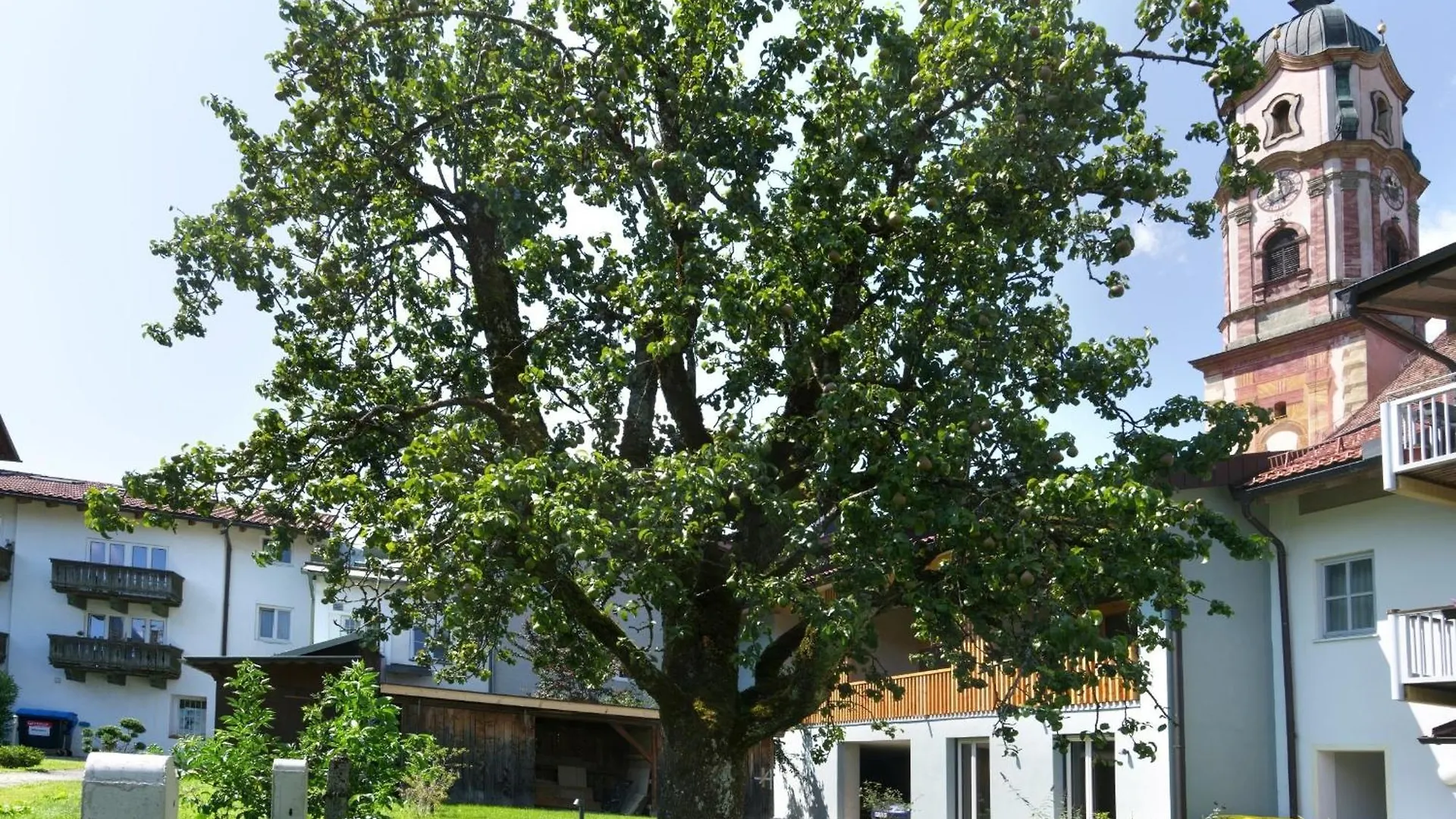 מוטנוואלד Adlerhaus, Gartenwohnung -410-